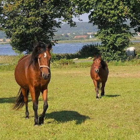 Top-fewo-mit-seeblick-in-seedorf