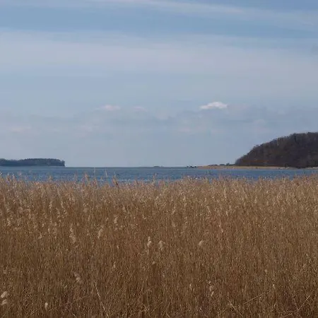 Top-fewo-mit-seeblick-in-seedorf